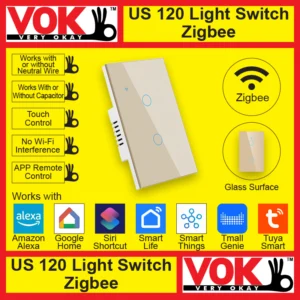 VOK Smart Zigbee 2-Gang Gold Color 120 USA American Standard Borderless Glass Power Light Switch Indoor Control Panel with LED Indicator